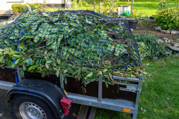 Best Shed Removal  in Uniondale, NY